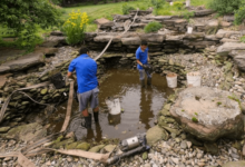 Cleaner Pond