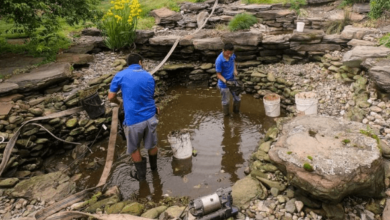 Cleaner Pond