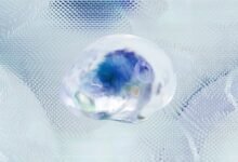 hypernet digital analytics services